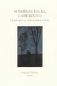 SOMBRAS EN EL LABERINTO de FERNANDEZ NAVAL, FRANCISCO X. 