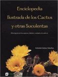 ENCICLOPEDIA ILUSTRADA DE LOS CACTUS Y OTRAS SUCULENTAS de GOMEZ SANCHEZ, ANTONIO 