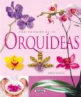 ORQUIDEAS di VV.AA. 