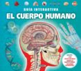 EL CUERPO HUMANO  GUIA INTERACTIVA de BEDOYERE, CAMILLA DE LA 