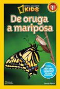 DE ORUGA A MARIPOSA di MARSH, LAURA 