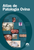 ATLAS DE PATOLOGIA OVINA di FERRER, LUIS MIGUEL  GARCIA DE JALON, JOSE A.  DE LAS HERAS, MARCELO 