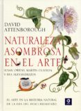 NATURALEZA ASOMBROSA EN EL ARTE de ATTENBOROUGH, DAVID 