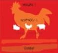 IMAGINA 1: ANIMALES 1 di VV.AA. 