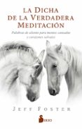 LA DICHA DE LA VERDADERA MEDITACION: PALABRAS DE ALIENTO PARA MENTES CANSADAS Y CORAZONES SALVAJES de FOSTER, JEFF 