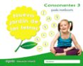 NUEVO JARDN DE LAS LETRAS EDUCACION INFANTIL 5 AOS CONSONANTES 3 PAUTA MEC de CAMPUZANO VALIENTE, MARIA DOLORES 