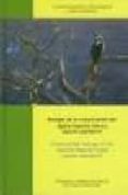 BIOLOGIA DE LA CONSERVACION DEL AGUILA IMPERAL IBERICA de MERINO GONZALEZ, LUIS M. 