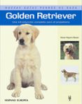 GOLDEN RETRIEVER di KILGORE BAUER, NONA 