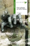 UNA PLUMA DE CUERVO BLANCO de MAESTRO, PEPE 