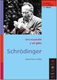 SCHRDINGER: UNA ECUACION Y UN GATO de NAVARRO FAUS, JESUS 