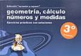 GEOMETRIA, CALCULO, NUMEROS Y MEDIDAS (3 PRIMARIA): EJERCICIOS P RACTICOS CON SOLUCIONES di VV.AA. 