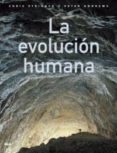 LA EVOLUCION HUMANA de STRINGER, CHRIS  ANDREWS, PETER 