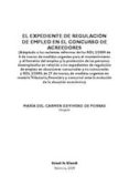 EL EXPEDIENTE DE REGULACION DE EMPLEO EN EL CONCURSO DE ACREEDORE S di DE VIVERO DE PORRAS, MARIA CARMEN 