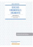 JURISDICCIN CONSTITUCIONAL Y DERECHOS FUNDAMENTALES. LINEAMENTOS de SIMON YARZA, FERNANDO 