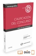 CALIFICACIN DEL CONCURSO de DIAZ ECHEGARAY, JOSE LUIS 