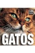 GATOS (GATOS BOOK) di VV.AA. 