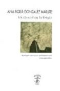UN CARACOL EN LA ESTIGIA. ANTOLOGIA DEL CUENTO NORTEAMERICANO CON TEMPORANEO di GONZALEZ MATUTE, ANA ROSA 