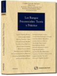RIESGOS PSICOSOCIALES: TEORIA Y PRACTICA de SANCHEZ TRIGUEROS, CARMEN 