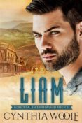 Liam Schicksal In Deadwood Buch 2 (ebook)