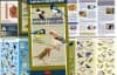 Aves De Parques Pueblos Y Ciudades: Introduccion A Las Especies Iberic - Tundra