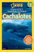 CACHALOTES di MARSH, LAURA 