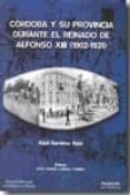 CORDOBA Y SU PROVINCIA DURANTE EL REINADO DE ALFONSO XIII (1902-1 931) de RAMIREZ RUIZ, RAUL 