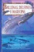BALLENAS, DELFINES Y MARSOPAS di VV.AA. 