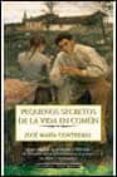 PEQUEOS SECRETOS DE LA VIDA EN COMUN de CONTRERAS, JOSE MARIA 