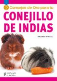 50 CONSEJOS DE ORO PARA TU CONEJILLO DE INDIAS di O`NEILL, AMANDA 