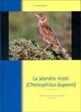 LA ALONDRA RICOTI (CHERSOPHILUS DUPONTI) di VV.AA. 