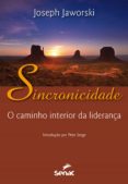 Sincronicidade (ebook)