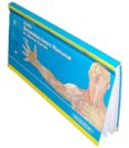 ESCOLAR: RECONSTRUCCIONES HUMANAS POR PLANOS DE DISECCION (5 ED. ) de SMITH AGREDA, JOSE MARIA 