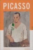 PICASSO di VV.AA. 