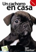 UN CACHORRO EN CASA: NO HAY TIEMPO QUE PERDER!: ETAPAS CRITICAS EN EL DESARROLLO EN EL APRENDIZAJE (2 ED.) di DUNBAR, IAN 