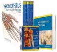 EMP 18: COLECCION PROMETHEUS + PRO ANATOMIA CLINICA + GILROY FICH AS DE AUTOEVALUACION de SCHUNKE, MICHAEL 