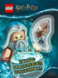 HARRY POTTER LEGO: EL DIARIO MGICO di VV.AA. 
