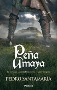 PEA AMAYA de SANTAMARIA, PEDRO 