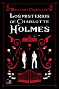 Excelência Para Obstinados (ebook)