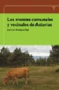 LOS MONTES COMUNALES Y VECINALES DE ASTURIAS di RODRIGUEZ-VIGIL RUBIO, JUAN LUIS 