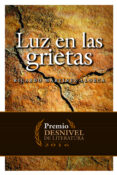 LUZ EN LAS GRIETAS (PREMIO DESNIVEL DE LITERATURA 2016) de MARTINEZ LLORCA, RICARDO 