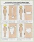 DICCIONARIO POR IMAGENES: EL CUERPO HUMANO de BUSSOLATI, EMANUELA 