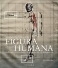 HISTORIA DE LAS TEORIAS DE LA FIGURA HUMANA de BORDES, JUAN 