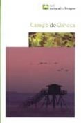 CAMPO DE DAROCA de VICENTE GRACIA, PABLO 