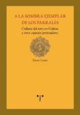 A LA SOMBRA EJEMPLAR DE LOS PARRALES: CULTURA DEL VINO EN GALICIA Y OTROS ESPACIOS PENINSULARES de CASTRO, XAVIER 