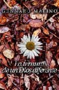 LA TERNURA DE UN DIOS DIFERENTE de MATINO, GENNARO 