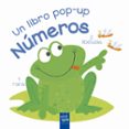 UN LIBRO POP-UP NMEROS de YOYO 