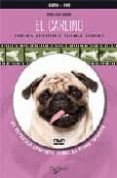 EL CARLINO (INCLUYE DVD) de SIMONE, MARIA LUISA 