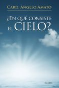 EN QUE CONSISTE EL CIELO? di AMATO, ANGELO 