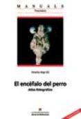 EL ENCEFALO DEL PERRO (INCLUYE CD) di AIGE GIL, VICENTE 
