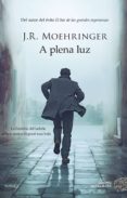 A Plena Luz (ebook)